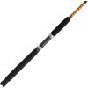 image:imageUgly Stik Bigwater Casting Fishing RodNew Model