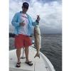 image:imageUgly Stik Spinning ComboCatfish Spincast  7  Mh  2pc