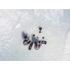image:imageUgly Stik 36 GX2 Ice Spinning Rod 1Piece Fishing Rod Medium Heavy Rod Power 6  10 lb Line RatingOld Model