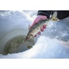 image:imageUgly Stik 36 GX2 Ice Spinning Rod 1Piece Fishing Rod Medium Heavy Rod Power 6  10 lb Line RatingOld Model